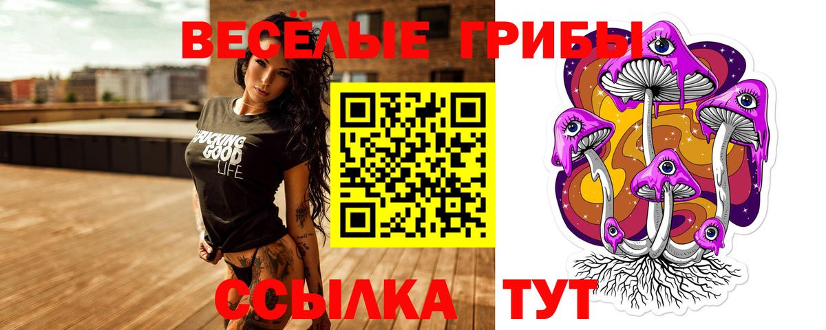 Галлюциногенные грибы мицелий  Вход с VPN  Всеволожск 